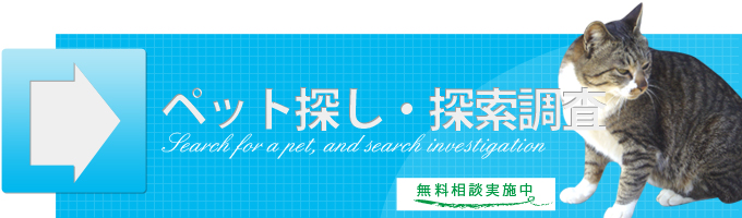 ペット探し・探索調査