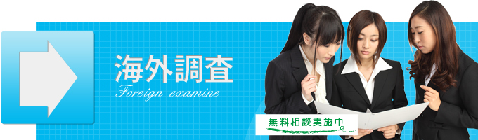 海外調査