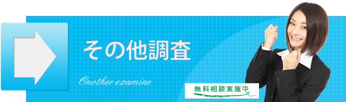 その他調査
